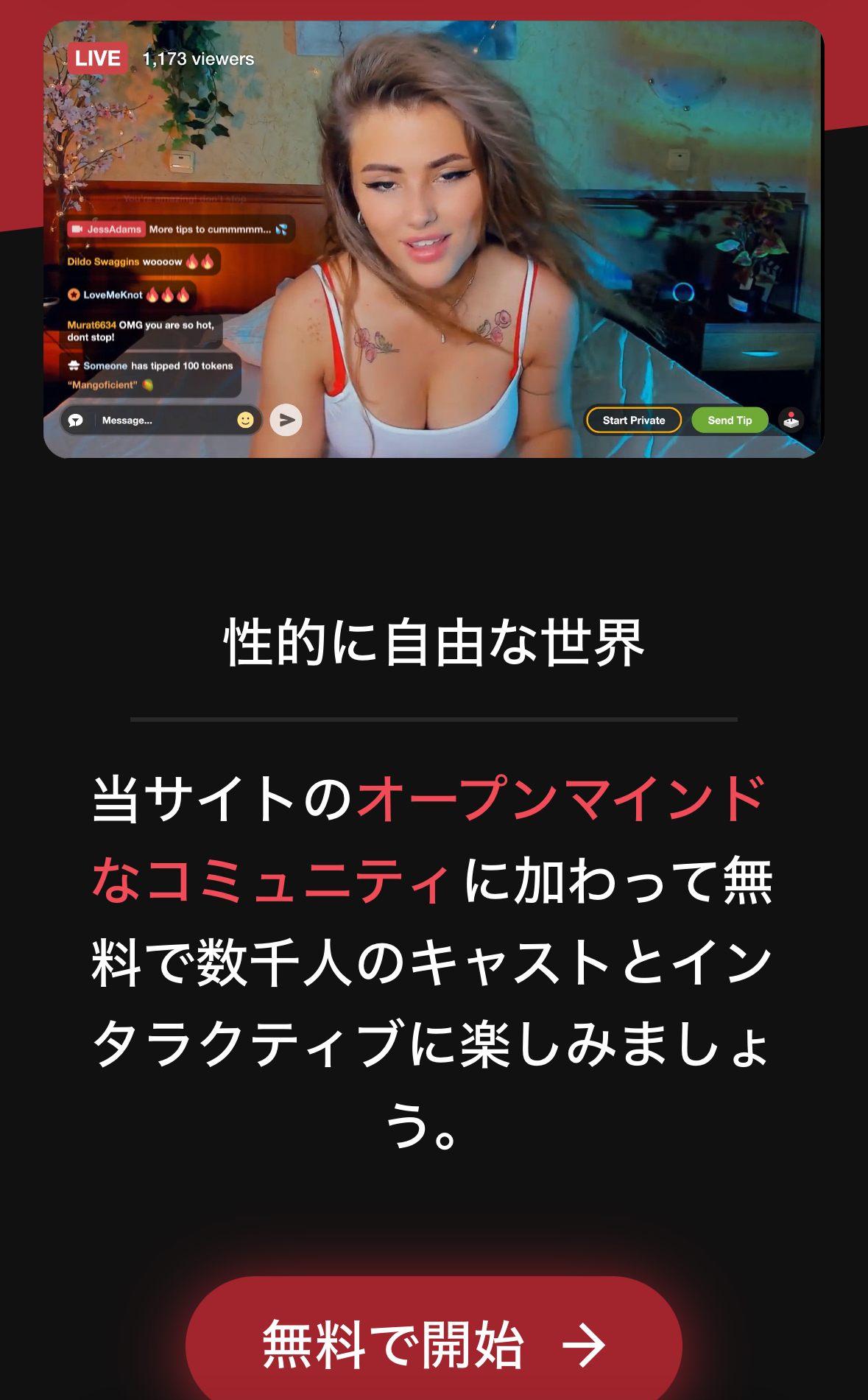 新しい友達とチャット